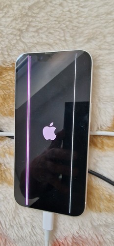 Apple iphone 1 - iphone, 6,1"